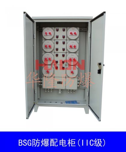 BSG防爆配電柜(IIC級)