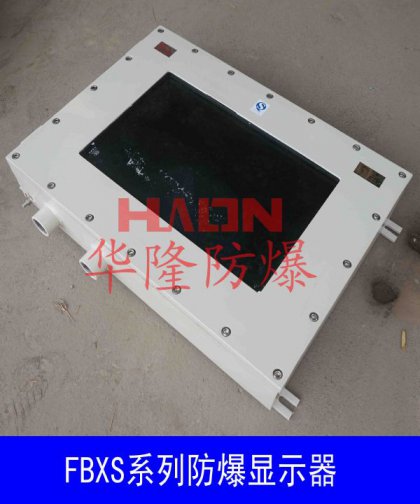 防爆顯示器(碳鋼 壁掛式)